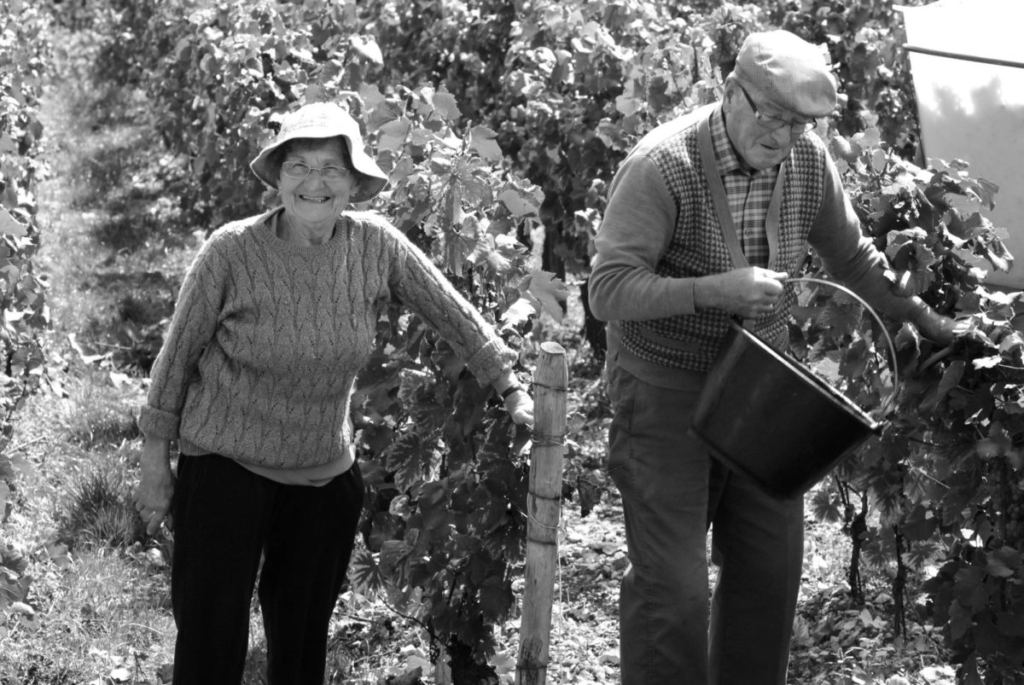 deux-roches-vendanges-2014-16-1200x803