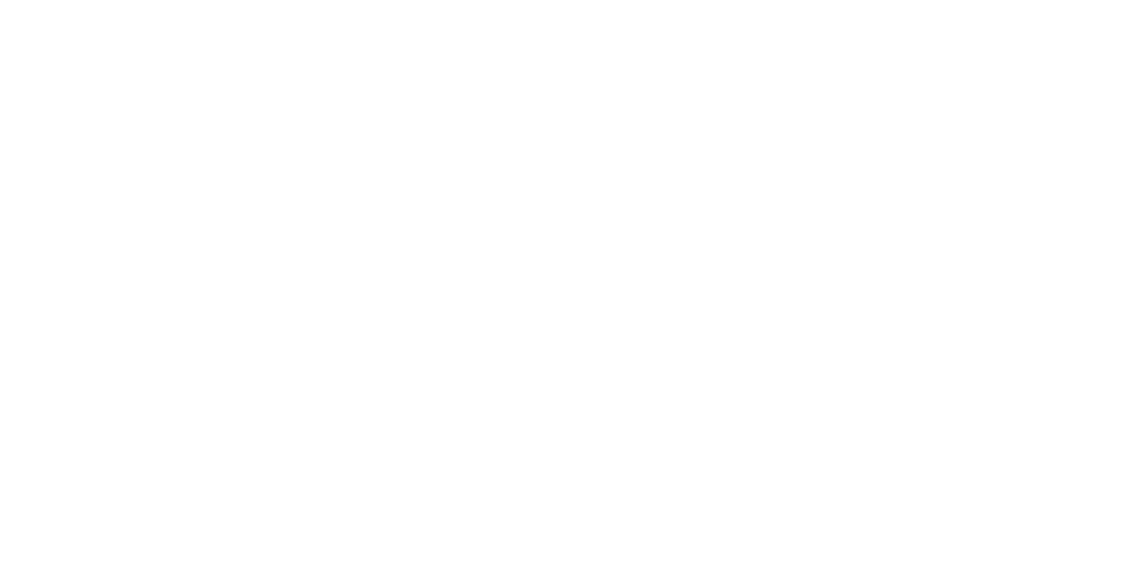 logo-domaine-deux-roches-bourgogne